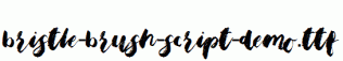 Bristle-Brush-Script-Demo.ttf