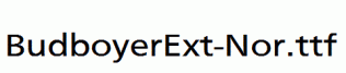 BudboyerExt-Nor.ttf