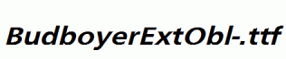 BudboyerExtObl-.ttf