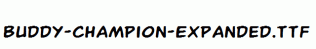 Buddy-Champion-Expanded.ttf
