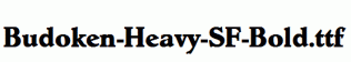 Budoken-Heavy-SF-Bold.ttf