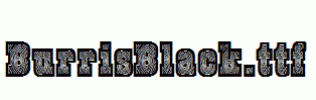 BurrisBlack.ttf