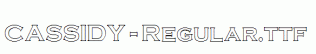 CASSIDY-Regular.ttf