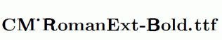 CM_RomanExt-Bold.ttf