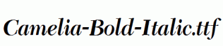 Camelia-Bold-Italic.ttf