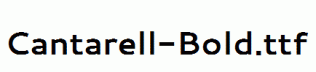 Cantarell-Bold.ttf