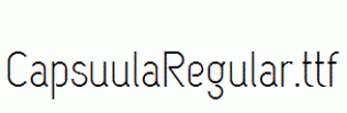 CapsuulaRegular.ttf