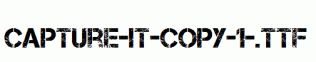 Capture-it-copy-1-.ttf