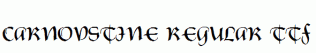 Carnovstine-Regular.ttf