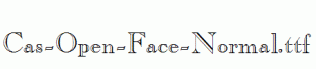 Cas-Open-Face-Normal.ttf