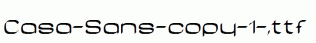Casa-Sans-copy-1-.ttf