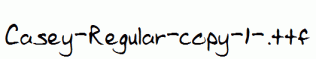 Casey-Regular-copy-1-.ttf