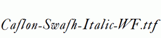Caslon-Swash-Italic-WF.ttf