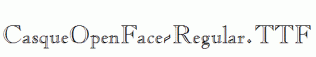 CasqueOpenFace-Regular.ttf
