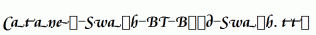 Cataneo-Swash-BT-Bold-Swash.ttf