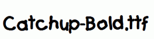 Catchup-Bold.ttf