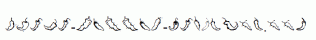 Chili-Pepper-Dingbats.ttf