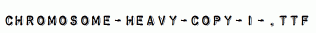 Chromosome-Heavy-copy-1-.ttf