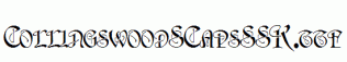 CollingswoodSCapsSSK.ttf