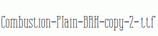 Combustion-Plain-BRK-copy-2-.ttf