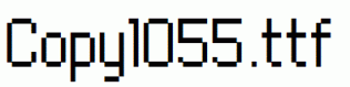 Copy1055.ttf