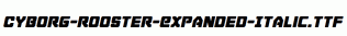 Cyborg-Rooster-Expanded-Italic.ttf