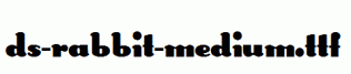 DS-Rabbit-Medium.ttf