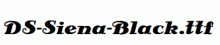 DS-Siena-Black.ttf