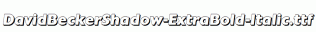 DavidBeckerShadow-ExtraBold-Italic.ttf