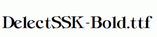 DelectSSK-Bold.ttf