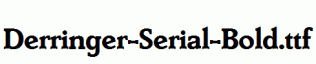 Derringer-Serial-Bold.ttf