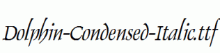 Dolphin-Condensed-Italic.ttf