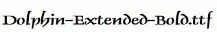 Dolphin-Extended-Bold.ttf