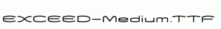 EXCEED-Medium.ttf