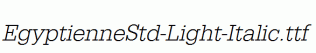 EgyptienneStd-Light-Italic.ttf