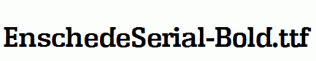 EnschedeSerial-Bold.ttf