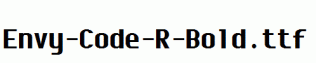 Envy-Code-R-Bold.ttf