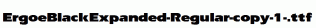 ErgoeBlackExpanded-Regular-copy-1-.ttf