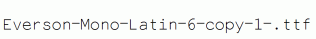 Everson-Mono-Latin-6-copy-1-.ttf