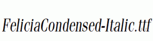 FeliciaCondensed-Italic.ttf