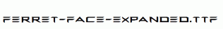 Ferret-Face-Expanded.ttf