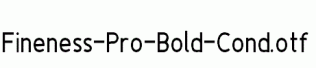 Fineness-Pro-Bold-Cond.otf