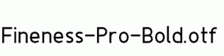 Fineness-Pro-Bold.otf