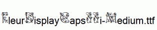 FleurDisplayCapsSSi-Medium.ttf