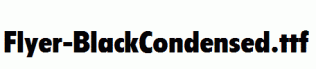 Flyer-BlackCondensed.ttf