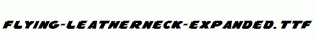 Flying-Leatherneck-Expanded.ttf