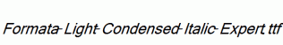 Formata-Light-Condensed-Italic-Expert.ttf