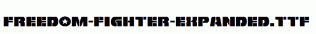 Freedom-Fighter-Expanded.ttf