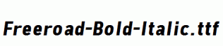 Freeroad-Bold-Italic.ttf