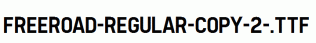 Freeroad-Regular-copy-2-.ttf